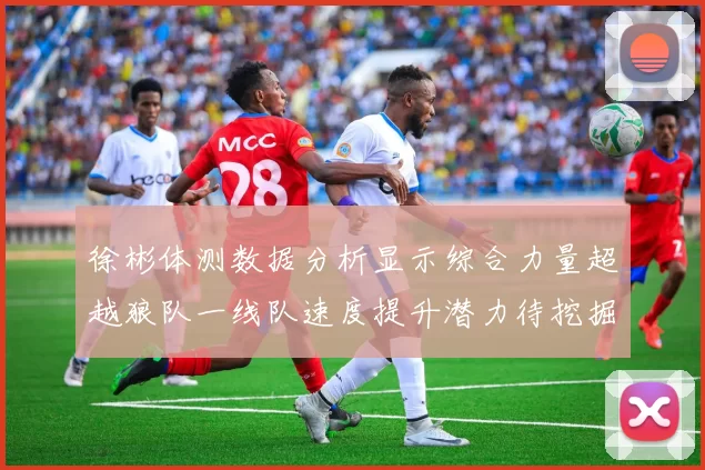 徐彬体测数据分析显示综合力量超越狼队一线队速度提升潜力待挖掘